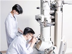Chín cơ sở giáo dục đại học Việt Nam trong bảng xếp hạng thế giới theo ngành của QS