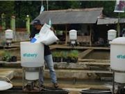 Bê bối khởi nghiệp eFishery rung chuyển ngành công nghệ thực phẩm Đông Nam Á