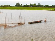 Hoạt động nhân sinh và cơ chế thủy lợi ảnh hưởng đến nguồn nước ở Đồng Tháp