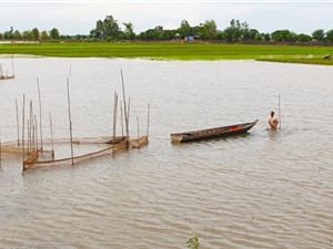 Hoạt động nhân sinh và cơ chế thủy lợi ảnh hưởng đến nguồn nước ở Đồng Tháp