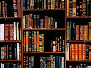 Mỹ đột ngột ngừng tài trợ cho các nghiên cứu khoa học xã hội 