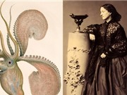 Jeanne Villepreux-Power - Người phát hiện trí tuệ của bạch tuộc
