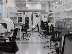 75% nhà khoa học ở Mỹ có ý định chuyển ra nước ngoài 