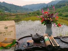 Để doanh nghiệp nhỏ chuyển đổi số hiệu quả