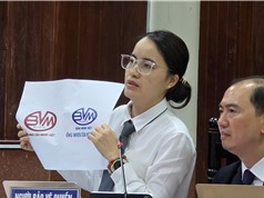 Bảo hộ nhãn hiệu: Những vướng mắc trong thực thi