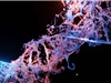 Liệu pháp chỉnh sửa gene có thể điều trị ung thư đường tiêu hóa giai đoạn tiến triển