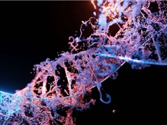Liệu pháp chỉnh sửa gene có thể điều trị ung thư đường tiêu hóa giai đoạn tiến triển