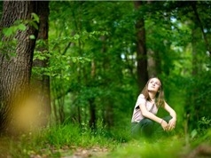 Tác dụng trị liệu tâm lý của thiên nhiên