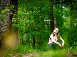 Tác dụng trị liệu tâm lý của thiên nhiên