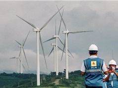 Startup năng lượng xanh ở Đông Nam Á: Đối mặt với những thách thức