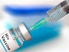 Hai thử nghiệm vaccine HIV cho thấy khả năng kích hoạt phản ứng miễn dịch có mục tiêu 