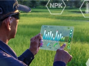 Để AI phục vụ phát triển công bằng