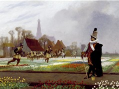 Sự thật về “bong bóng hoa tulip”