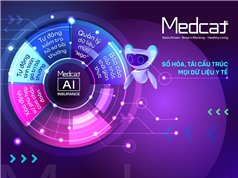MedCAT AI Insurance: Góp phần giải bài toán của ngành bảo hiểm