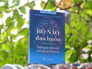 Bộ não đau buồn