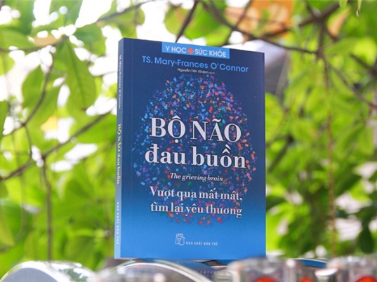 Bộ não đau buồn