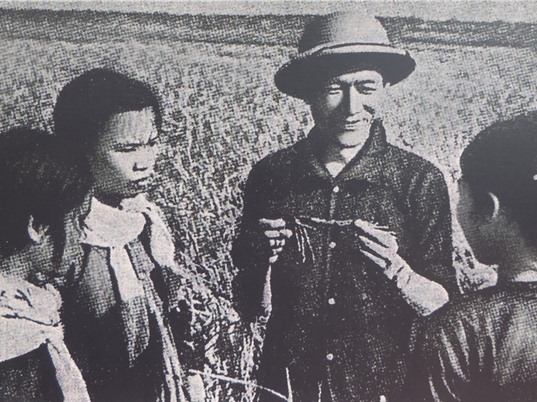 Dấu ấn của các nhà khoa học nông nghiệp giai đoạn 1955-1975