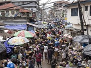 Dịch bệnh đậu mùa khỉ bùng phát mạnh ở Sierra Leone