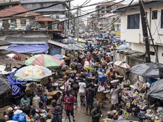 Dịch bệnh đậu mùa khỉ bùng phát mạnh ở Sierra Leone