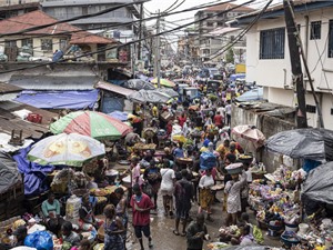 Dịch bệnh đậu mùa khỉ bùng phát mạnh ở Sierra Leone