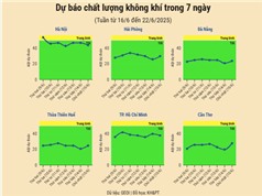 [Infographic] Dự báo chất lượng không khí trên cả nước - tuần từ 16/6 đến 22/6/2025