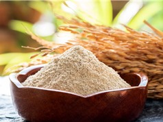 Tối ưu phương pháp xác định các hợp chất dễ bay hơi trong cám gạo