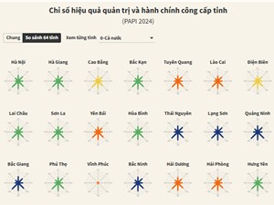 [Infographic] Hiệu quả quản trị công cấp tỉnh: Còn nhiều dư địa để nâng cao