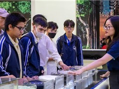 Chương trình KH&CN trọng điểm cấp ĐHQGHN “Nghiên cứu phát triển hệ sinh thái giáo dục số tạo đột phá trong đổi mới sáng tạo ở Việt Nam”