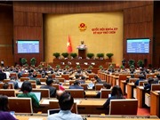 Luật Năng lượng nguyên tử (sửa đổi): Tiến tới làm chủ công nghệ điện hạt nhân