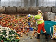 Giảm lãng phí thực phẩm: Ăn uống lành mạnh có thể là cách tốt nhất