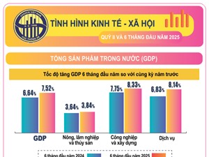 [Infographic] GDP sáu tháng đầu năm vẫn giữ đà tăng trưởng tích cực
