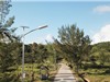 Ứng dụng đèn đường năng lượng mặt trời tích hợp IOT và AI cho môi trường biển đảo