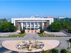 Để trường đại học Việt Nam thành “lò” khởi nghiệp tỉ đô