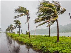 Các hạt trong không khí có thể làm giảm cường độ của xoáy thuận