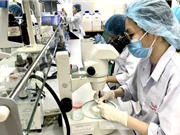 NAFOSTED: 680 hồ sơ đăng ký chương trình nghiên cứu cơ bản năm 2025