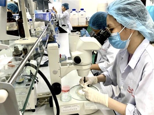 NAFOSTED: 680 hồ sơ đăng ký chương trình nghiên cứu cơ bản năm 2025