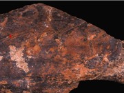 Cách xử lý thực phẩm của người Neanderthal