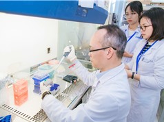 KHCN & ĐMST Việt Nam: Những động lực từ cơ chế quản lý mới