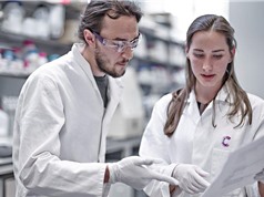 Anh tìm phương hướng cải thiện nền kinh tế ĐMST từ kinh nghiệm quốc tế