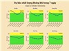 [Infographic] Dự báo chất lượng không khí trên cả nước - tuần từ 4/8 đến 10/8/2025