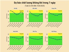 [Infographic] Dự báo chất lượng không khí trên cả nước - tuần từ 4/8 đến 10/8/2025
