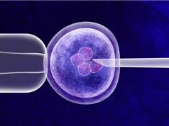 Tương lai của công nghệ sinh sản