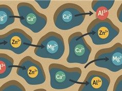 AI giúp xác định lựa chọn thay thế tiềm năng cho pin lithium-ion