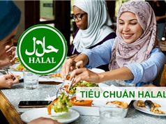 Tiêu chuẩn và chứng nhận Halal: Còn nhiều khoảng trống