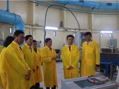  Viện Nghiên cứu hạt nhân: Tăng vai trò đào tạo và nghiên cứu chuyên biệt