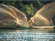 Tài nguyên hải sản Đông Nam Á vẫn dồi dào, bất chấp các cảnh báo khai thác quá mức