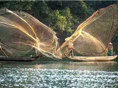 Tài nguyên hải sản Đông Nam Á vẫn dồi dào, bất chấp các cảnh báo khai thác quá mức