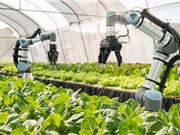 Đông Nam Á: Nội địa hóa công nghệ nông nghiệp?