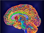 Một thiết bị cấy ghép não đọc được suy nghĩ có mật khẩu bảo vệ