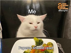 Đời nghiên cứu sinh qua meme